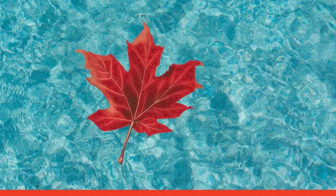 Fördelarna Med att Bygga Pool på Hösten