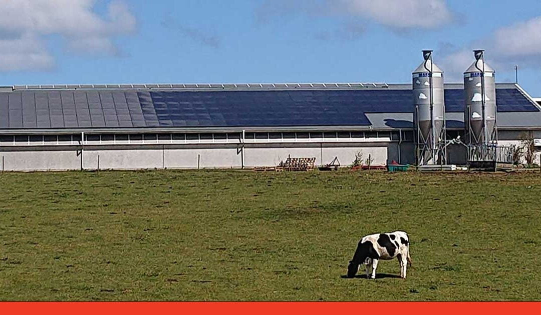 Solceller lantbruk: Den gröna revolutionen på landsbygden!