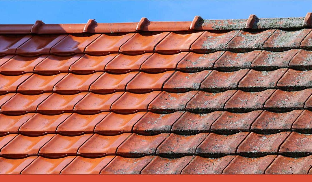 Taktvätt & takvård Uppsala – Anlita professionell taktvättsfirma